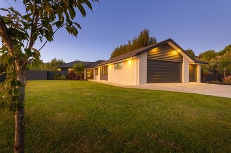 Photo of property in 6 Teal Avenue, Feilding, 4775