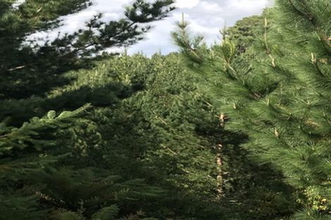 Photo of property in 487 Whangamata Road, Kinloch, Taupo, 3377