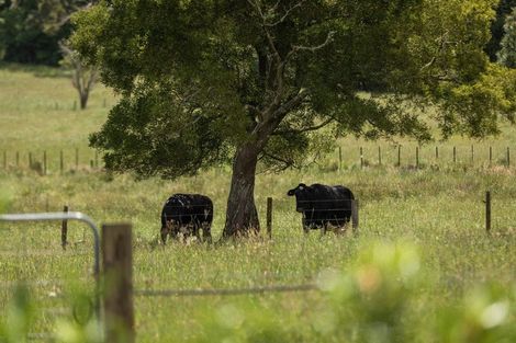 Photo of property in 141 Neavesville Road, Puriri, Thames, 3578