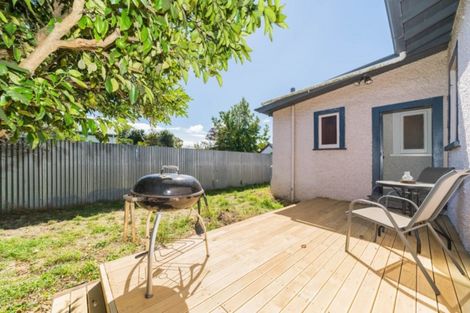 Photo of property in 95a Limbrick Street, Terrace End, Palmerston North, 4410