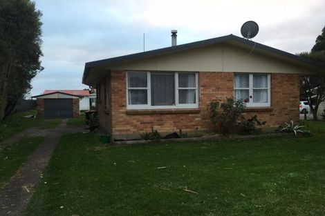 Photo of property in 55 Sheffield Street, Matamata, 3400