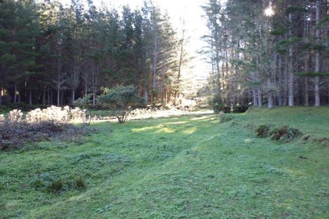 Photo of property in 1677 Takaputahi Road, Toatoa, Opotiki, 3197
