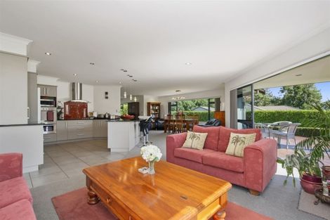 Photo of property in 286g Mclaren Falls Road, Omanawa, Tauranga, 3171