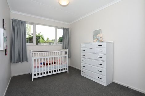 Photo of property in 8 Dalzien Place, Feilding, 4702