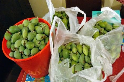 Photo of property in 62a Norrie Street, Bader, Hamilton, 3206