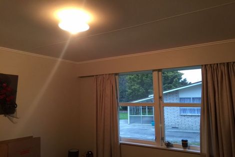 Photo of property in 55 Sheffield Street, Matamata, 3400