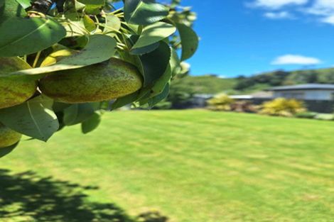 Photo of property in 187 Crawford Road, Kaiti, Gisborne, 4010