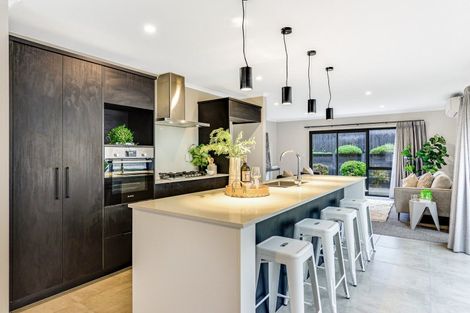 Photo of property in 16 Cogar Terrace, Chartwell, Hamilton, 3210