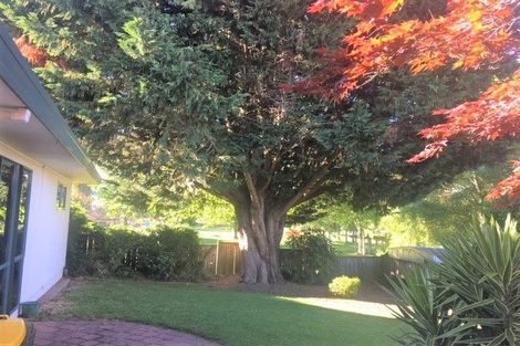 Photo of property in 4 Molyneux Place, Welcome Bay, Tauranga, 3112