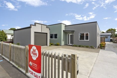 Photo of property in 259a College Street, West End, Palmerston North, 4412