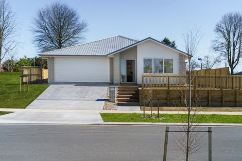 Photo of property in 17 Keri Rua Road, Leamington, 3495