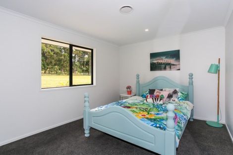 Photo of property in 199 Glenbrook Waiuku Road, Glenbrook, 2681