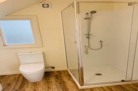 Photo of property in 45 Scarba Street, Roslyn, Dunedin, 9010