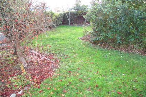 Photo of property in 63 Wilson Street, Geraldine, 7930