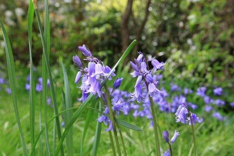Photo of property in 96 Matatua Road, Raumati Beach, Paraparaumu, 5032