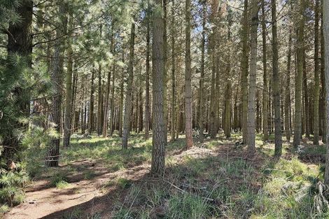 Photo of property in 577 Pesters Road, West Eyreton, Rangiora, 7475