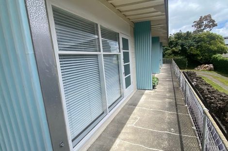 Photo of property in 9 Esplanade Road, Mount Eden, Auckland, 1024