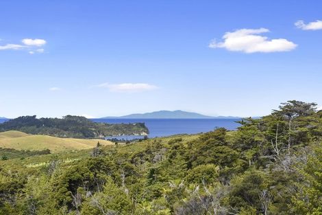 Photo of property in 229 Hillcrest Road, Wainui, 0931