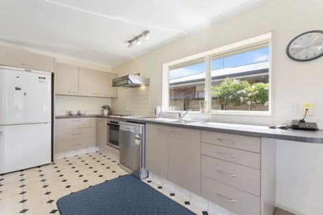 Photo of property in 38 Duke Street, Levin, 5510
