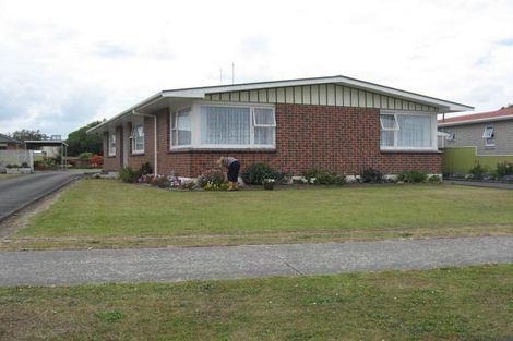 Photo of property in 119 Warwick Street, Feilding, 4702
