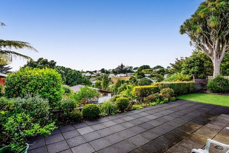 Photo of property in 3 Ross Place, Blagdon, New Plymouth, 4310