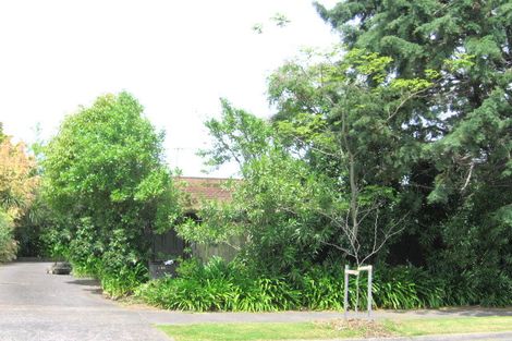 Photo of property in 125 Norman Lesser Drive, St Johns, Auckland, 1072