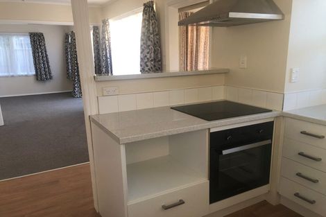 Photo of property in 21 Hobson Street, Levin, 5510