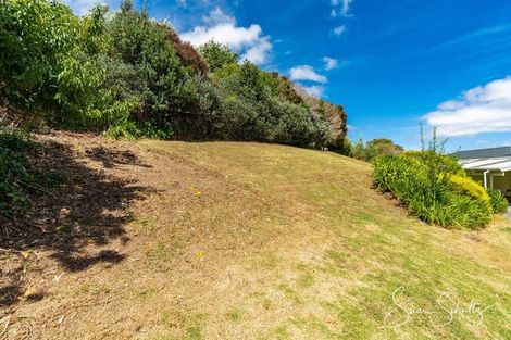 Photo of property in 1111 Whakapirau Road, Whakapirau, Maungaturoto, 0583