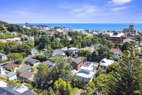 Photo of property in 10 Pendarves Street, New Plymouth, 4310