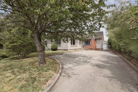 Photo of property in 19 Tika Street, Riccarton, Christchurch, 8041