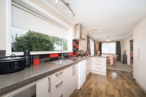 Photo of property in 476 Ruahine Street, Terrace End, Palmerston North, 4410