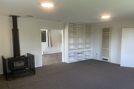 Photo of property in 14 Wake Street, Chartwell, Hamilton, 3210