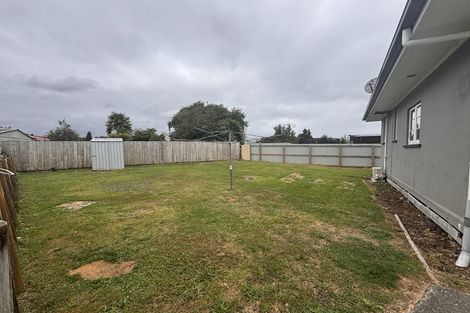Photo of property in 132b Arapuni Street, Putaruru, 3411