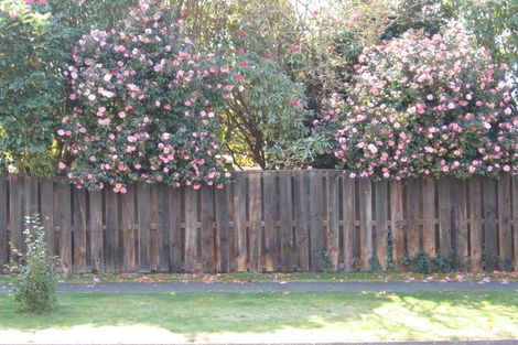 Photo of property in 23 Sophia Street, Glenholme, Rotorua, 3010