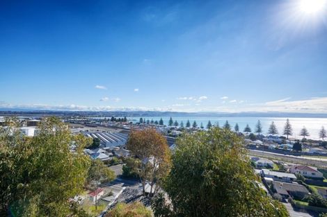 Photo of property in 40a Roslyn Road, Bluff Hill, Napier, 4110