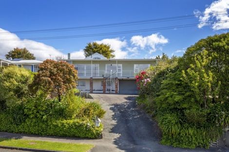 Photo of property in 42 Surrey Road, Richmond, 7020