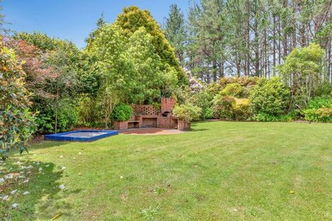 Photo of property in 1668 Oropi Road, Oropi, Tauranga, 3173