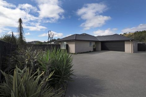 Photo of property in 219 Taylor Pass Road, Witherlea, Blenheim, 7201