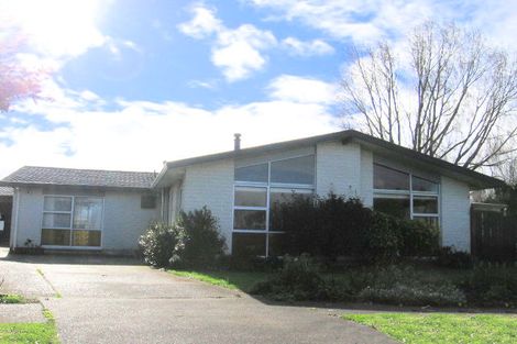 Photo of property in 17 Sandstrom Grove, Feilding, 4702