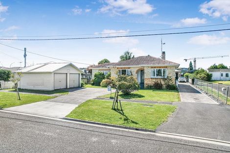 Photo of property in 36 Hobson Street, Maeroa, Hamilton, 3200