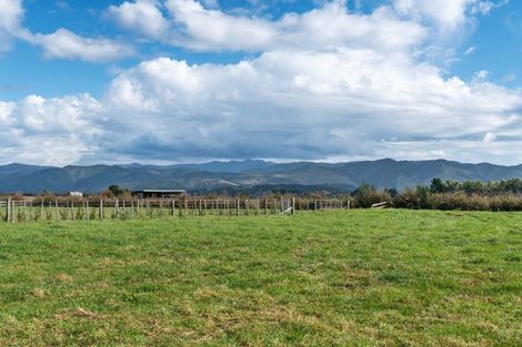 Photo of property in 3 Nicholson Road, Clareville, Carterton, 5791