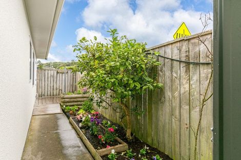 Photo of property in 6 Macalister Place, Miramar, Wellington, 6022