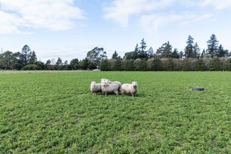 Photo of property in 28 Mitcham Road, Allenton, Ashburton, 7772