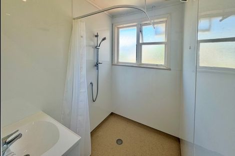 Photo of property in 116 Limbrick Street, Terrace End, Palmerston North, 4410