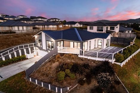 Photo of property in 117 John Burke Drive, Aotea, Porirua, 5024