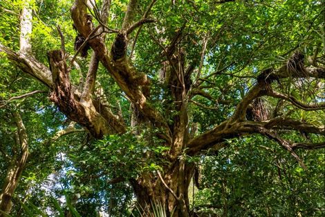 Photo of property in 915 State Highway 14, Maungatapere, Whangarei, 0179