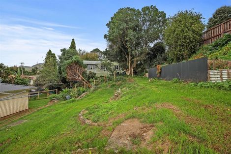 Photo of property in 7 Nahum Street, Paeroa, 3600