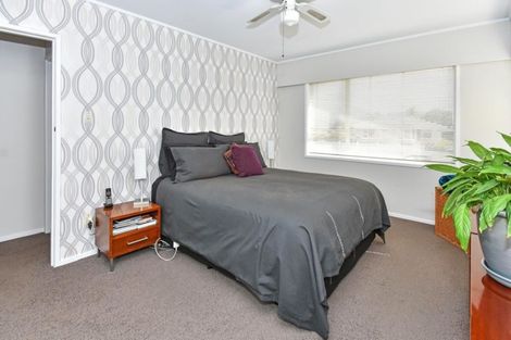 Photo of property in 138 Elliot Street, Pahurehure, Papakura, 2113