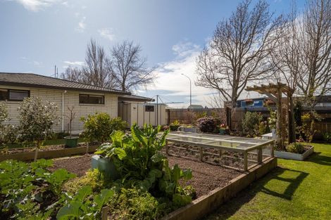 Photo of property in 22a Lewis Street, Redwoodtown, Blenheim, 7201