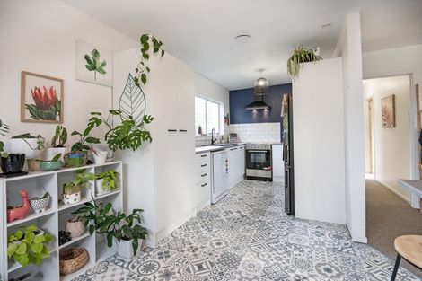 Photo of property in 210b Pattison Road, Akina, Hastings, 4122